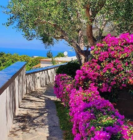 Appartamenti Luongo Forio di Ischia 외부 사진
