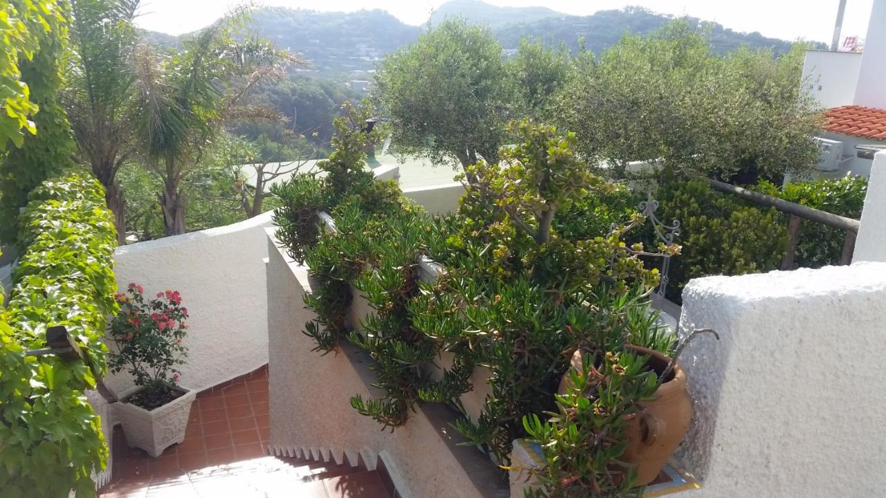 Appartamenti Luongo Forio di Ischia 외부 사진