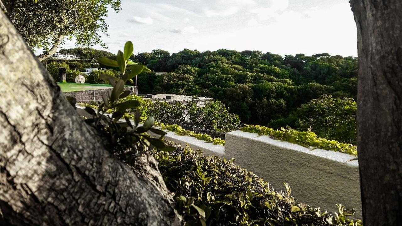 Appartamenti Luongo Forio di Ischia 외부 사진