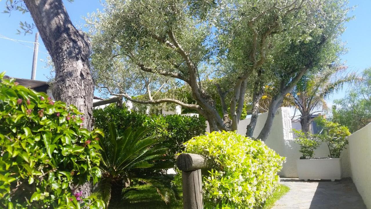Appartamenti Luongo Forio di Ischia 외부 사진