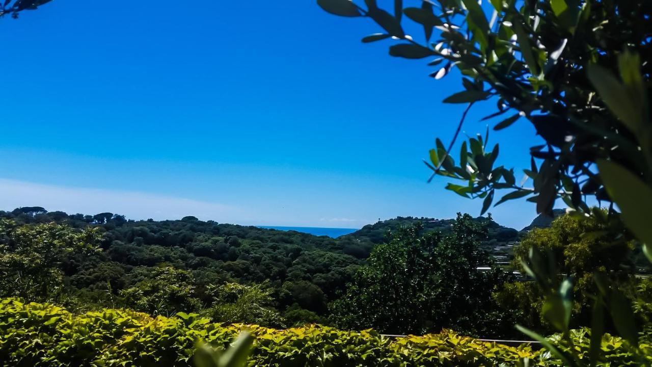 Appartamenti Luongo Forio di Ischia 외부 사진