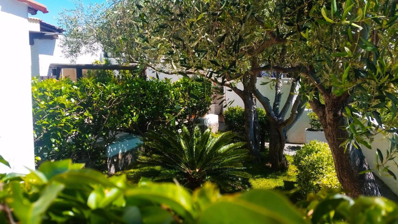 Appartamenti Luongo Forio di Ischia 외부 사진
