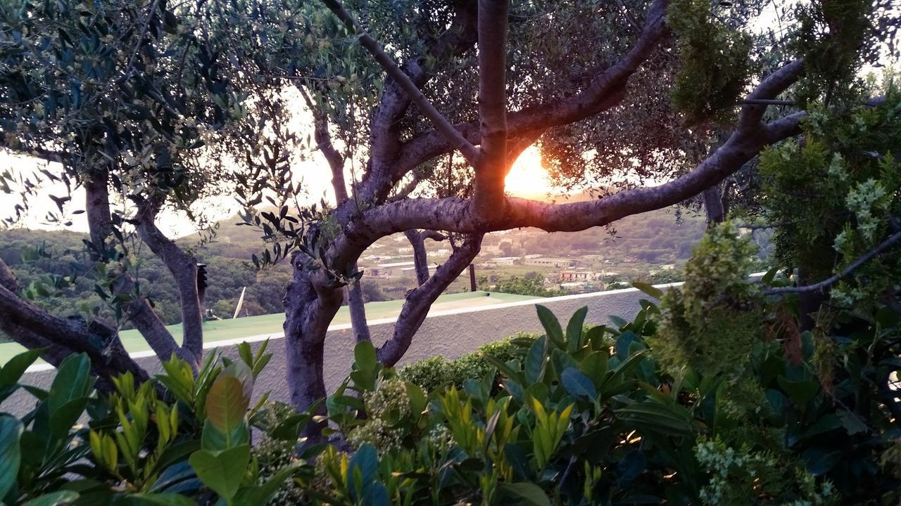 Appartamenti Luongo Forio di Ischia 외부 사진